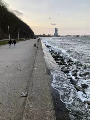 out-of-season. plik: tlusta-mewa-apartament-gdynia-out-of-season-poza-sezonem - 39.webp